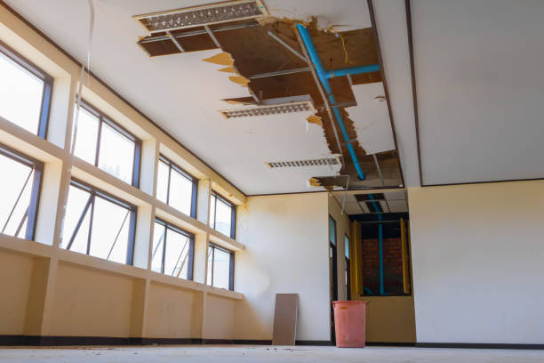 Best Mold removal after water damage  in Pea Ridge, FL