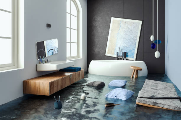 Water damage restoration experts in FL