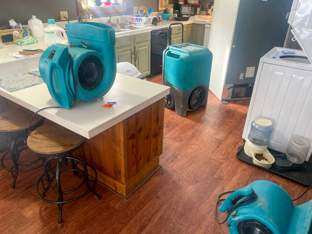 Best Water damage restoration near me  in Pea Ridge, FL