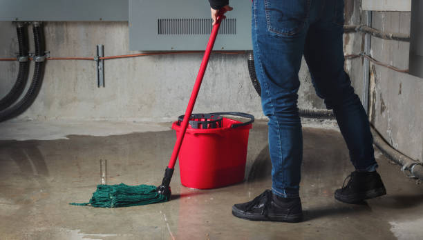 Best Flood damage cleanup  in Pea Ridge, FL