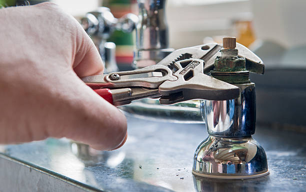 Best Carpet water damage restoration  in Pea Ridge, FL