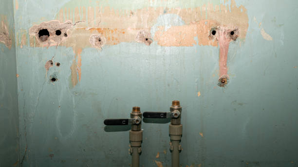 Best Water damage restoration near me  in Pea Ridge, FL