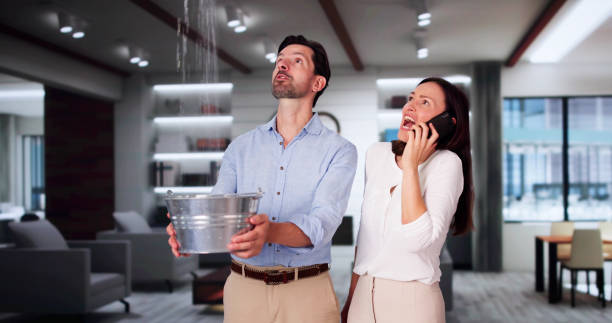  Pea Ridge, FL Water damage restoration Pros