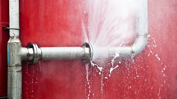 Best Water damage restoration mold remediation  in Pea Ridge, FL